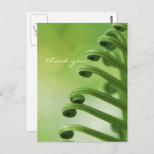 Natuurlijke, groene krullende bladeren briefkaart (Voorkant / Achterkant)