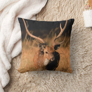 Natuurlijke habitat van chital Nationaal park Ba Kussen
