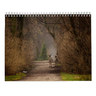 Natuurlijke invloed Fotografie 2016 Agenda Kalender