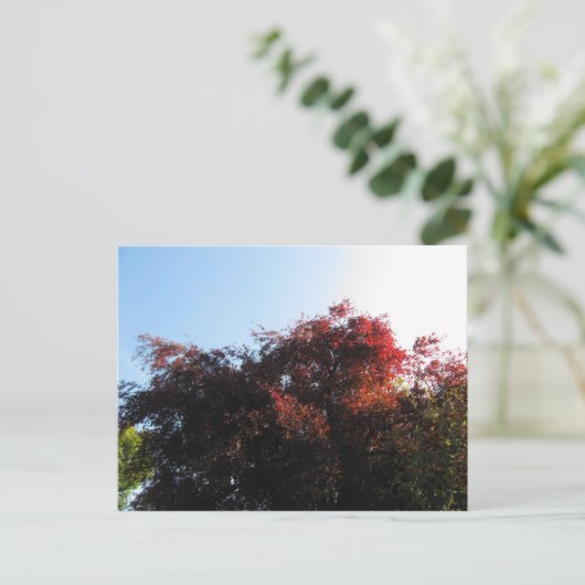 Natuurlijke kleur briefkaart (Staand voorkant)