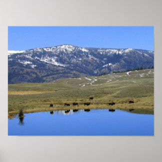 Natuurlijke reflectie poster