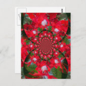Natuurlijke Rode Bloem Witte Veer Kaleidoscoop Art Briefkaart (Voorkant / Achterkant)
