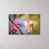 Natuurlijke samenstelling van de Sakura-bloemen in Canvas Afdruk (Voorkant)