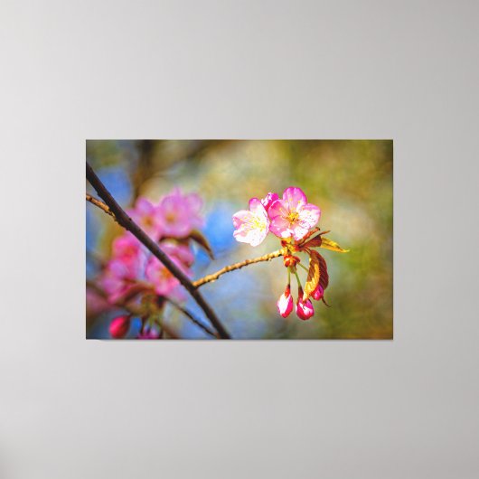 Natuurlijke samenstelling van de Sakura-bloemen in Canvas Afdruk (Voorkant)