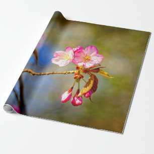 Natuurlijke samenstelling van Sakura-bloemen Cadeaupapier