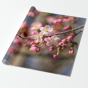 Natuurlijke schilders van de Sakura-bloemen op een Cadeaupapier