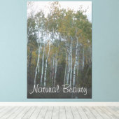 Natuurlijke schoonheid Witte berk Canvas Afdruk (Insitu (Houten vloer))