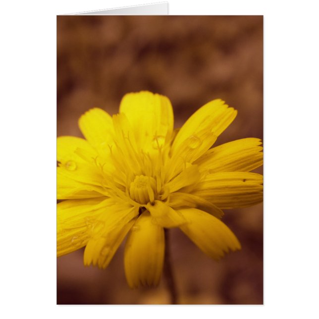 Natuurlijke schoonheidsKaart (Voorkant)