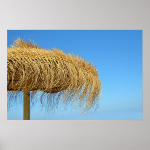 Natuurlijke strandparasol poster