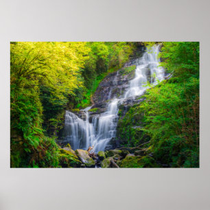 Natuurlijke Symfonie: De Watervallen van Killarney Poster