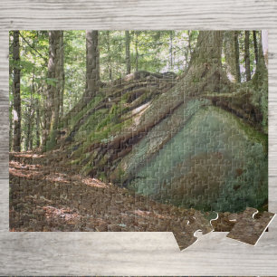Natuurlijke Veerkracht Boom op Fotografie van Kei Legpuzzel