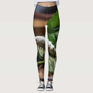NATUURLIJKE VEZELS MARVELS: DE REIS VAN ZIJDERUPSE LEGGINGS