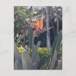 Natuurlijke wonderen Hawaiiaanse stijl Briefkaart