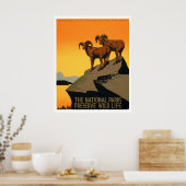 natuurreservaat Poster (Keuken)