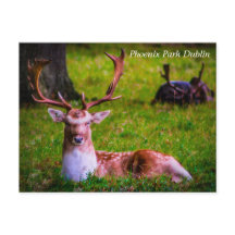 Natuur's majesteit in Phoenix Park