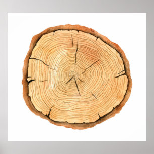 Natuur's Rings: Tree Texture Triumph Poster