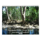 Natuurscènes Schriftuur voor 2013 Kalender (Achterkant)