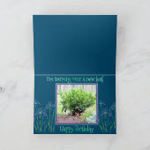 Naughty Basset Hound sur la carte d'anniversaire d (Intérieur)