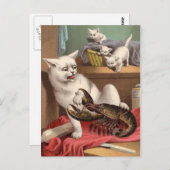 Naughty cats & lobster briefkaart (Voorkant / Achterkant)