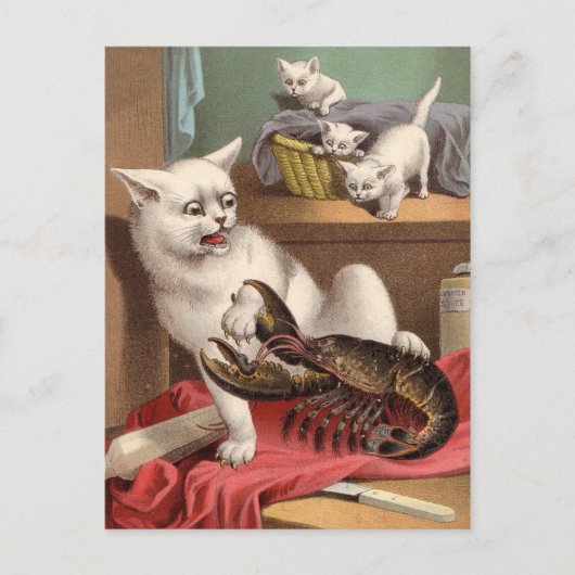 Naughty cats & lobster briefkaart (Voorkant)