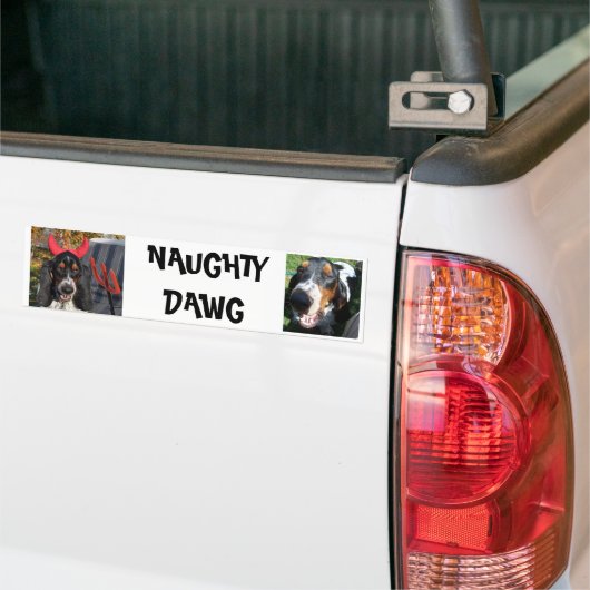 NAUGHTY DAWG BUMPERSTICKER (Op Truck)
