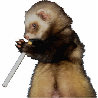 Naughty de heer Woozle Staand Fotobeeldje