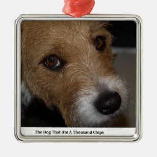Naughty Dog Ate the Chips Bad Dog Ate de Cheese Metalen Ornament