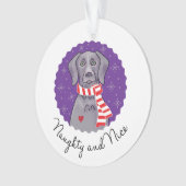 Naughty en Nice Ornament (voorkant)