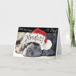 Naughty Feestdagen Kaart