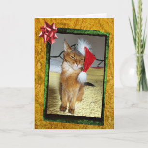 Naughty Kat kerst Kaart