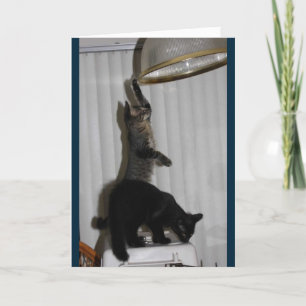 Naughty Kat Verjaardag Kaart