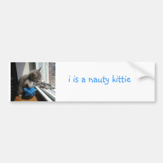 Naughty Kitten Bumpersticker