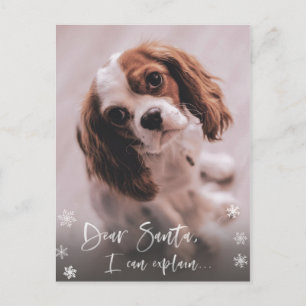 Naughty List, Santa I kan kerstfoto uitleggen Briefkaart