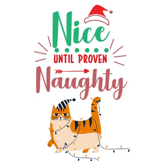 Naughty of Nice Feestdagenkaart