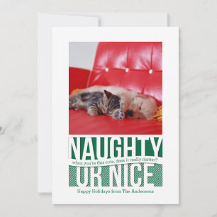 Naughty or Nice Funny Christmas Pet Kaart