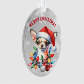 Naughty Père Noël Chihuahua dans les décorations (devant)