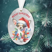 Naughty Père Noël Chihuahua dans les décorations