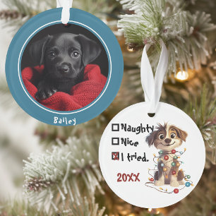 Naughty Puppy Père Noël Checklist Blue