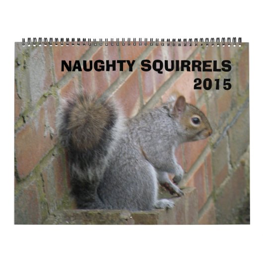 Naughty Squirrels 2015 Agenda Kalender (Hoes)
