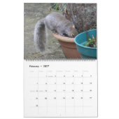 Naughty Squirrels 2015 Calendrier (Feb 2027)