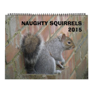 Naughty Squirrels 2015 Calendrier