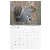 Naughty Squirrels 2015 Calendrier (Mar 2026)