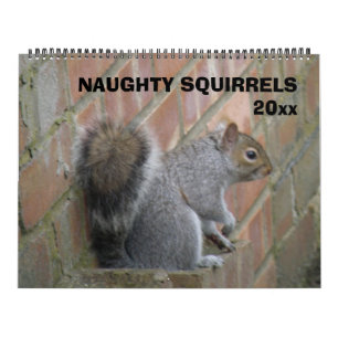 Naughty Squirrels aangepaste kalender