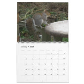 Naughty Squirrels aangepaste kalender (Jan 2026)