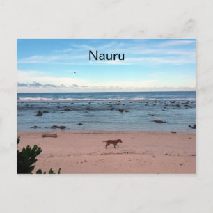 nauru-strandhond briefkaart
