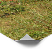 Nauset Lighthouse Beach Cape Cod National Seashore Poster (Hoek)