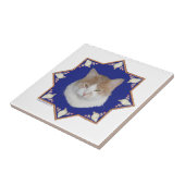 Nautical Alfie Cat Tegeltje (Zijkant)