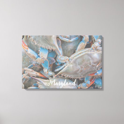 Nautical Beach House Rustic Crab Canvas (Voorkant)