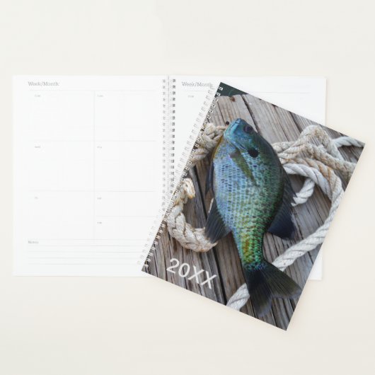 Nautical Blue Fish Wood Dock Foto kust Planner (Display)
