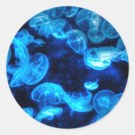 Nautical Blue Jellyfish Marine Life Ronde Sticker (Voorkant)